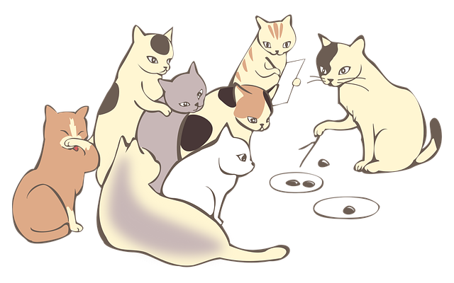 osm koček.png